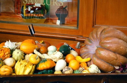 Autumn Squash and Pumpkins, Hediard, Paris, 2001.