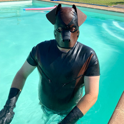 RubberDogs 🔜 WaggingTailsBER (@rubberdogs@dog-pound.de)