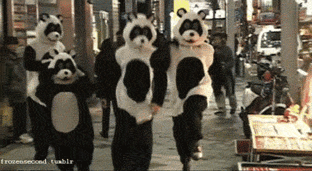 absoluutaamaita:  Pandas   What is this?