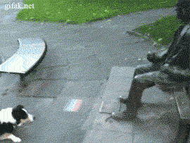 https://64.media.tumblr.com/8e843ca41d773847519ef5b6830f2b3c/tumblr_n1i9vb5N3b1tsvgx5o1_400.gif