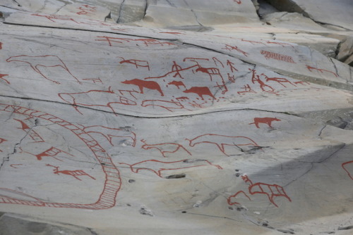 soliloquyinthedark:Ancient European Rock Art in Alta, Finnmark, NorwayMore than 6000 prehistoric roc