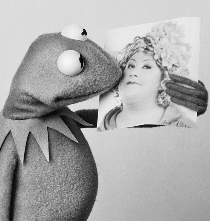 Kermit The Frog Right Where I Belong Look at us, here we are, right where we belong - toughpigs: I love a
