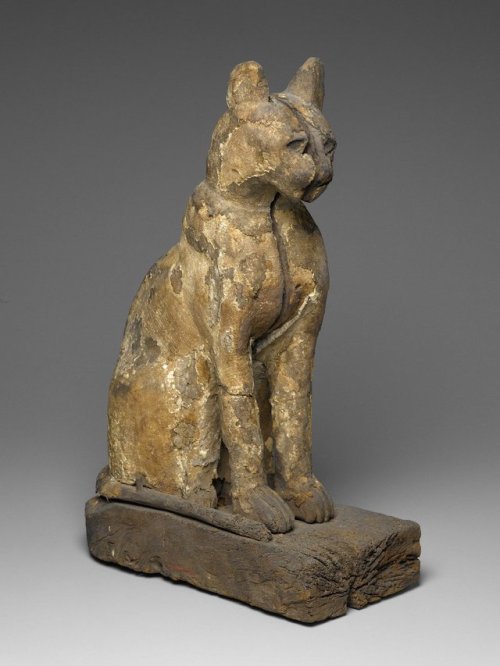 brooklynmuseum:Domesticated over 5000 years ago, cats were venerated and beloved animals in ancient 