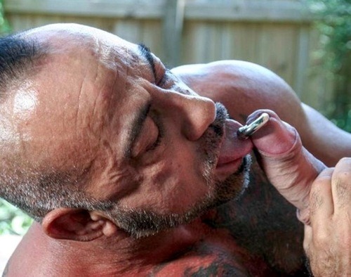 servicebear:  Follow the Feeding Frenzy @ ServiceBear for Hot Cock Sucking, Cum Spewing, Man on Man action.  New posts re-blogged every hour - 24/7. 