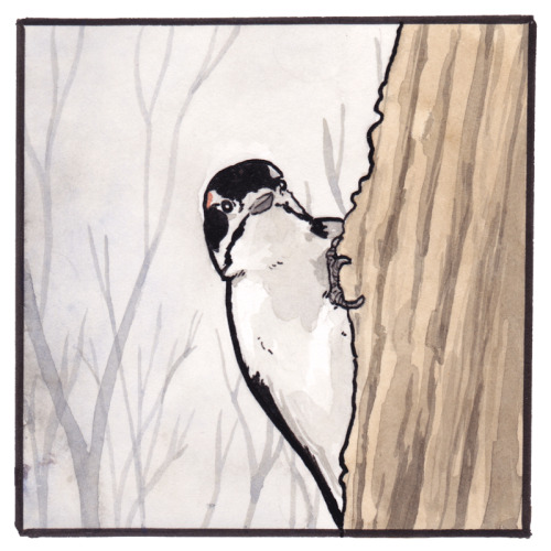 falseknees:that’s the good stuff