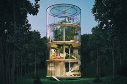 escapekit:  Tree in the HouseKazakh architect