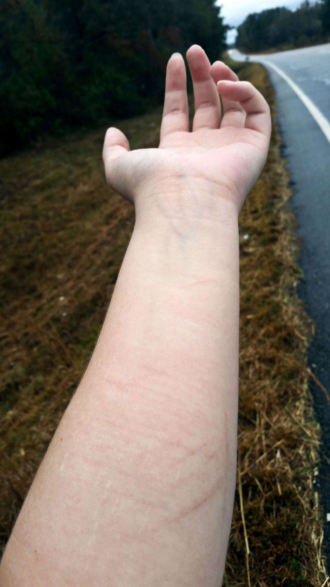 whismical:  i don’t want to be hidden - not even my ugly parts 
