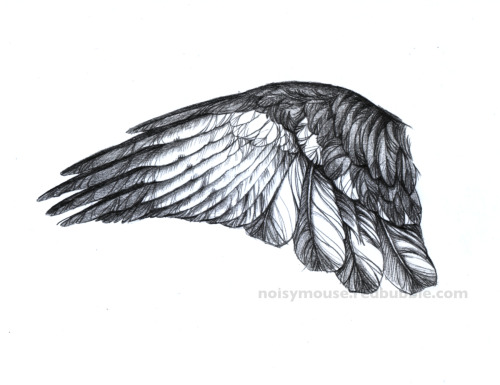 Raven wing