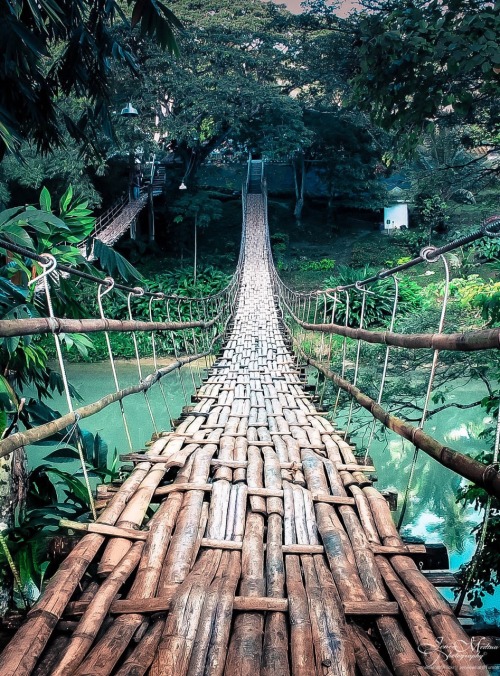 sitoutside:  Bamboo Hanging Bridge of Sevilla Bohol, Philippinesby jeneawhat