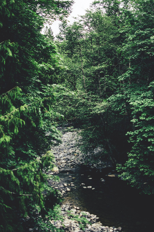 deeplovephotography:Whiskey Creek >> Vancouver Islandinstagram | flickr | facebook