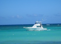 peace-and-awe:  boat on the watermy original photography- please do not remove credit  