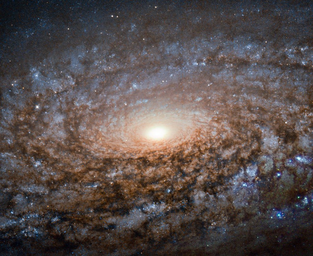Flocculent Spiral Galaxy NGC 3521 by NASA Hubble