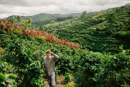 THRIVE Coffee Farmers in Costa Rica for Inc. Magazine – Peek the full series here.