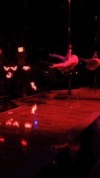 thestripperdiaries:  I GIFed myself. 