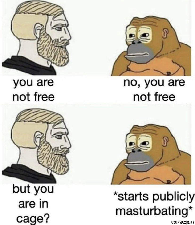 you are not free but you...