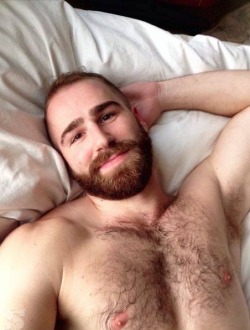hairy-chests:  daddy 