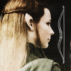 boromirs:  Countdown to BotFA: 29 days