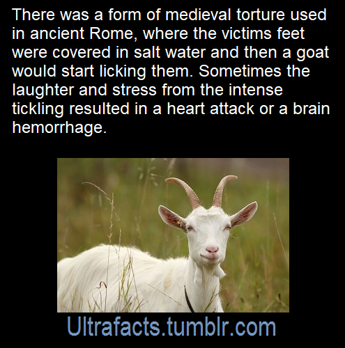 onion-souls:sirobvious:ultrafacts:Source: [x]Follow Ultrafacts for more facts!Medieval torture used 