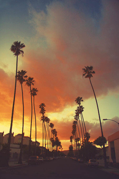 tooweirdto-live-toorareto-die:  ▲