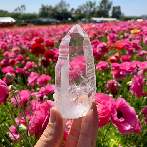  By Sugarstudiocrystals