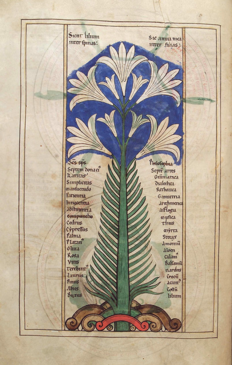 decadentiacoprofaga:From the Liber Floridus, by Lambert of Saint-Omer, XII c.Vía: O