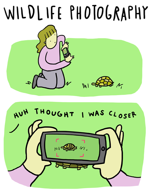 imoquest:  man this always happen when I see a groundhog 