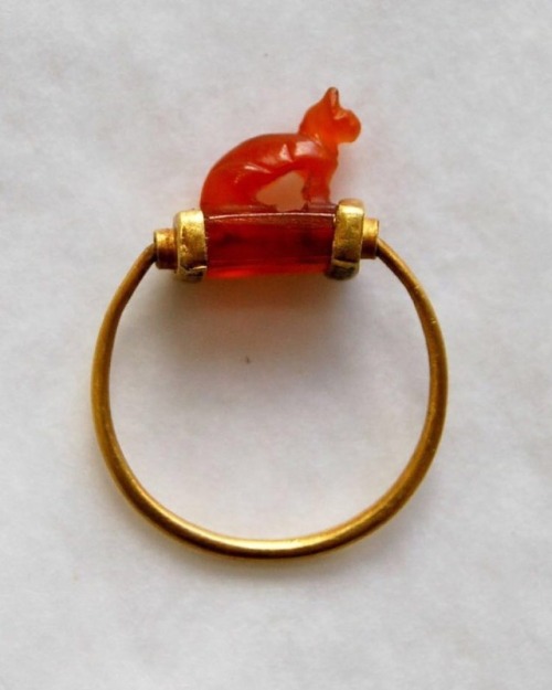 Ancient egyptian gold finger-ring With cat. About 1070 - 712 BC. #egypt #cat #cats #ring #gold