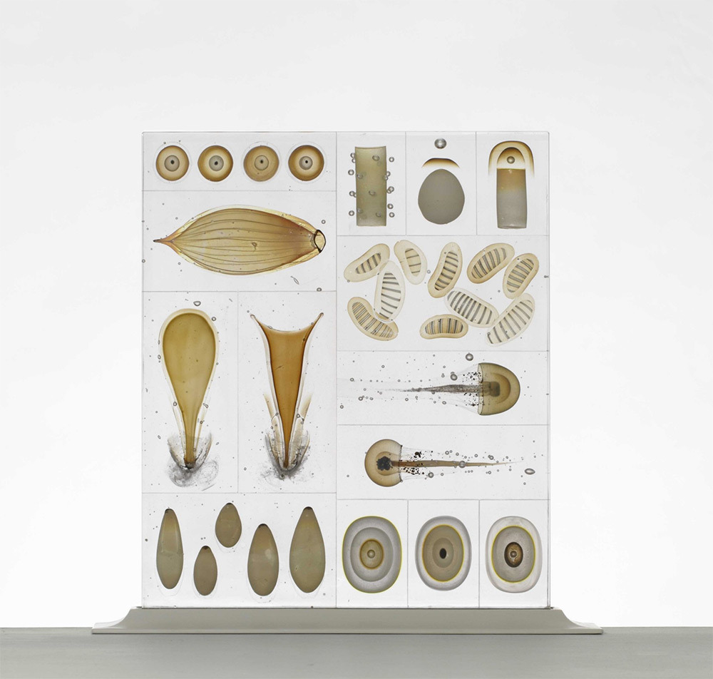 culturenlifestyle:  Stunning Marine Life Specimens Imagined in Glass by Steffen Dam