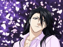 Captain Byakuya Kuchiki - Bleach