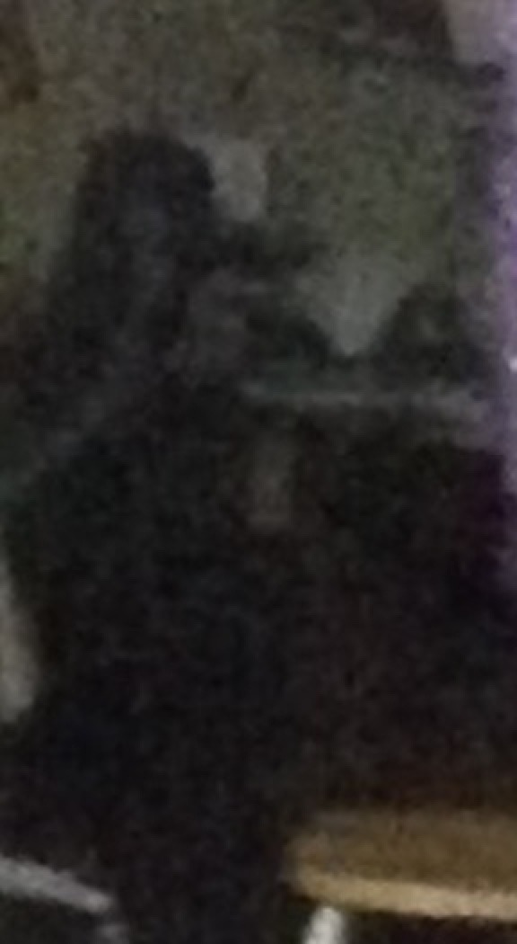 sixpenceee:  thestaplerqueen:  For @sixpenceee  I was looking through my photos when