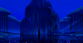 lunatician:    How high does the sycamore grow?If you cut it down, then you’ll