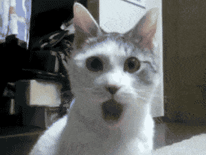 Blue When An Actually Confident Alter (usually Jax) Speaks Up In A Public Setting: