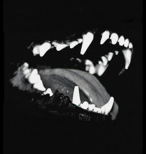 otheraes:Void wolf