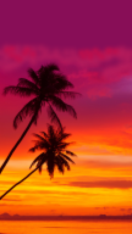 Pixel Sunset Lockscreens*please like/reblog if used*