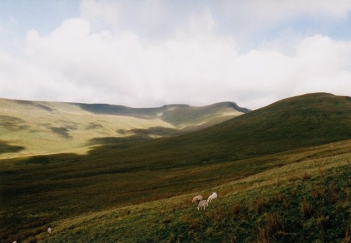 alifeingrain: Brecon Beacons, Wales ~ September 2018 ~