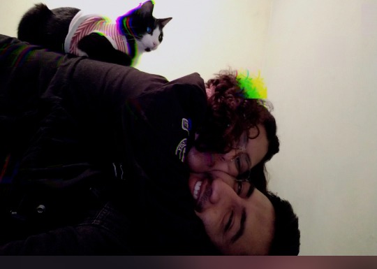 Tumblr media