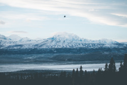 jakeelko:  Two different, perfectly timed photos. Super psyched on them jakeelko.tumblr.com instagram-@lordelko