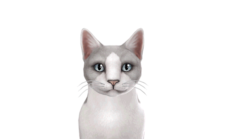 chippedcupanddustybooks:Quartz Eyes V2 Edit - CatsI decided to repost these since the last update br