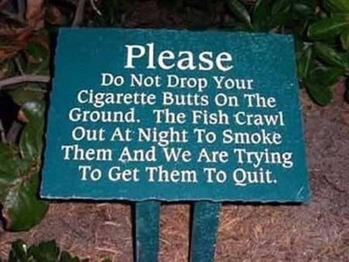 Protect your local wildlife