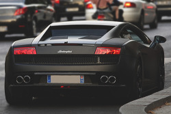 johnny-escobar:  Gallardo 