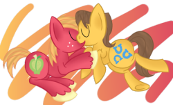 mlp-shipping-challenge:  —— Here’s