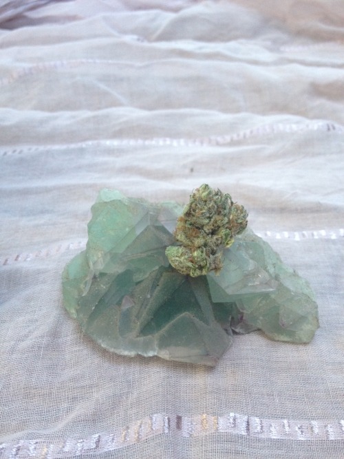 weed-prophet: dankgirl420: Fluorite and cherry pie Your crystals & bud