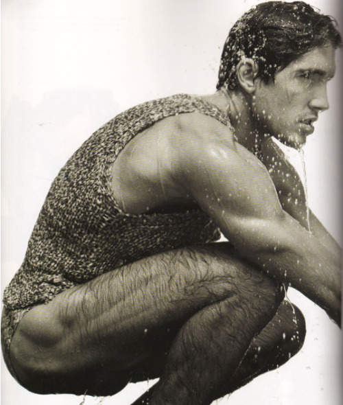 ADONIS ARCHIVE