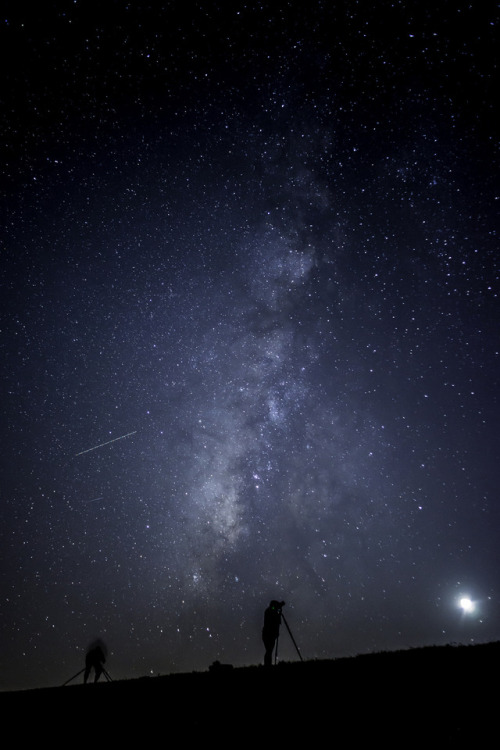 heaven-ly-mind:Capturing the Night