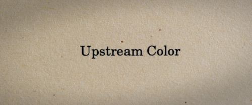 Upstream Color (Shane Carruth, 2013)