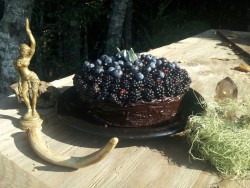 phasmaphasmatiscerva:  ..I made a dark mori cake! Chocolate sage topped with local black, blue &amp; huckleberries..  