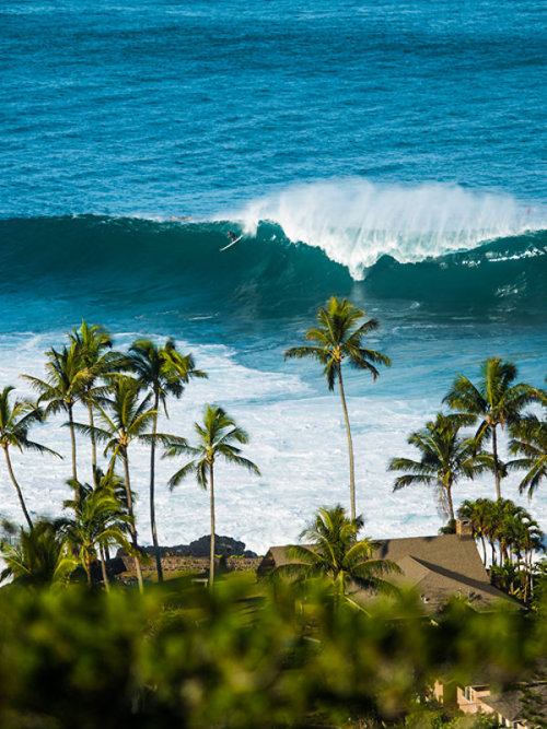 surfsouthafrica:Big days in Hawaii. Photo: Greg Gyselinck