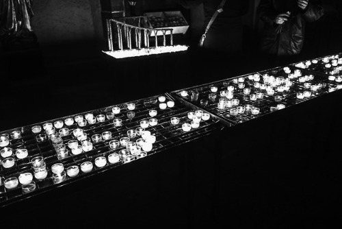 shinjiaratani:©shinji aratani
