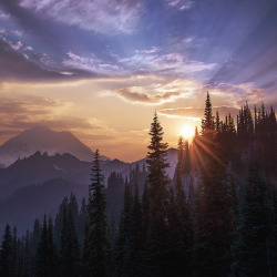 coiour-my-world:Morning Glory at Mt Rainier | Sapna Reddy Photography