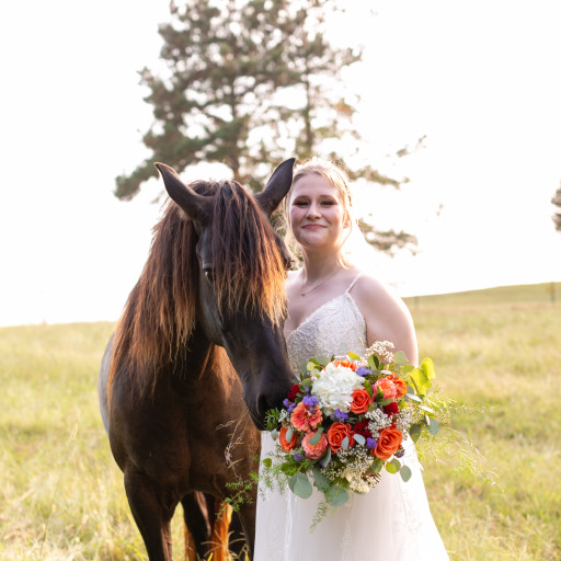 Porn mare-moment:  If you’re at a barn with photos